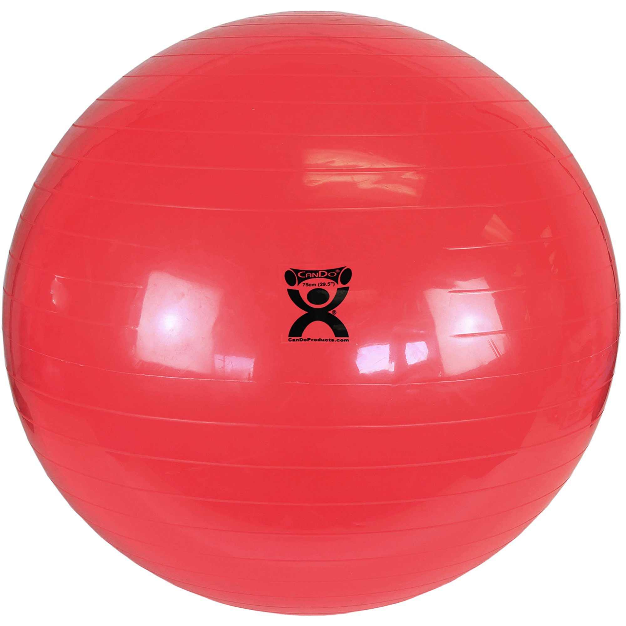 Fabrication Enterprises - 30-1804 CanDo® Inflatable Exercise Ball