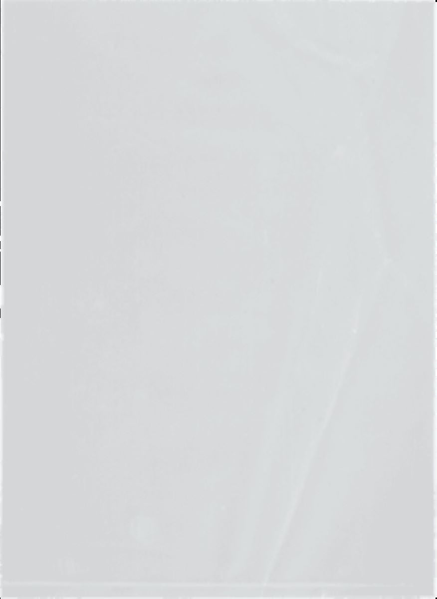 ASP Global LLC - F27 Open Ended Bag 12 X 15 Inch 1.5 mil