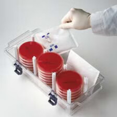 BD - 260678 GasPak™ EZ Anaerobe Sachet 20 Sachets For use with BD GasPak Gas Generating Systems