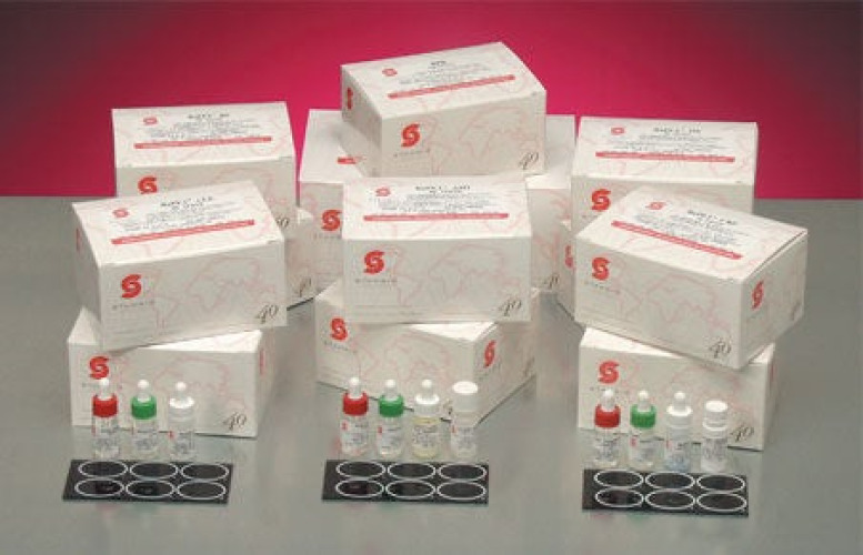 Stanbio Laboratory - 1155-050 Autoimmune Test Kit RaPET® RF Rheumatoid Factor (RF) 50 Tests CLIA Non-Waived