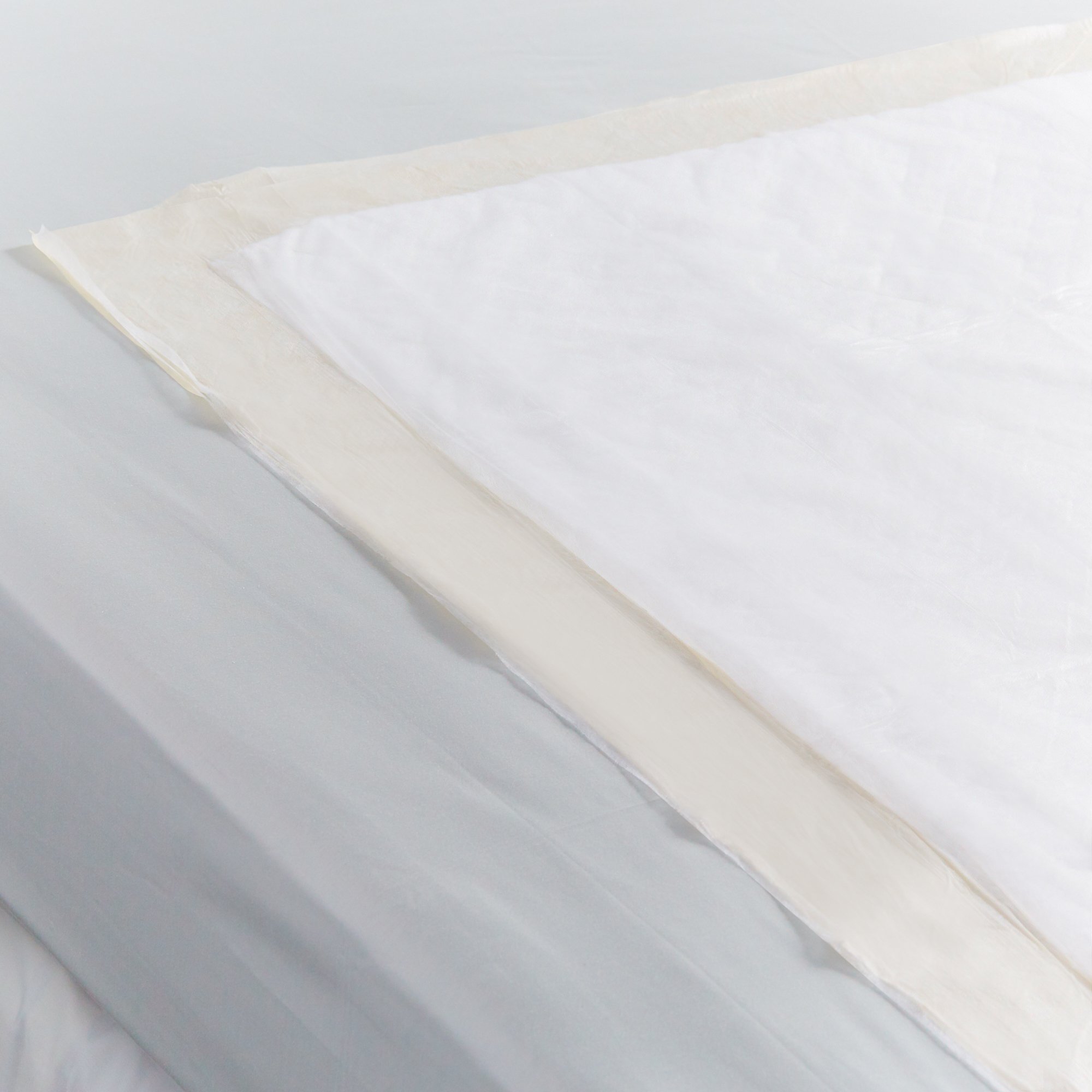Essity HMS North America Inc 361 - TENA Underpad Extra, 36" x 36", Disposable, Light Absorbency - 10/Bag, 100/Case