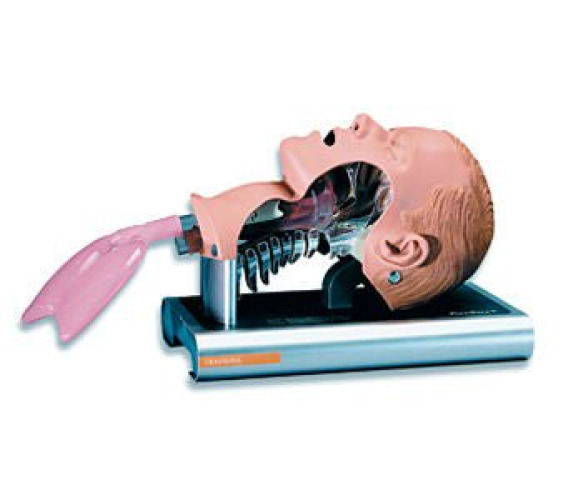 Ambu - 186002000 Ambu® Airway Management Trainer