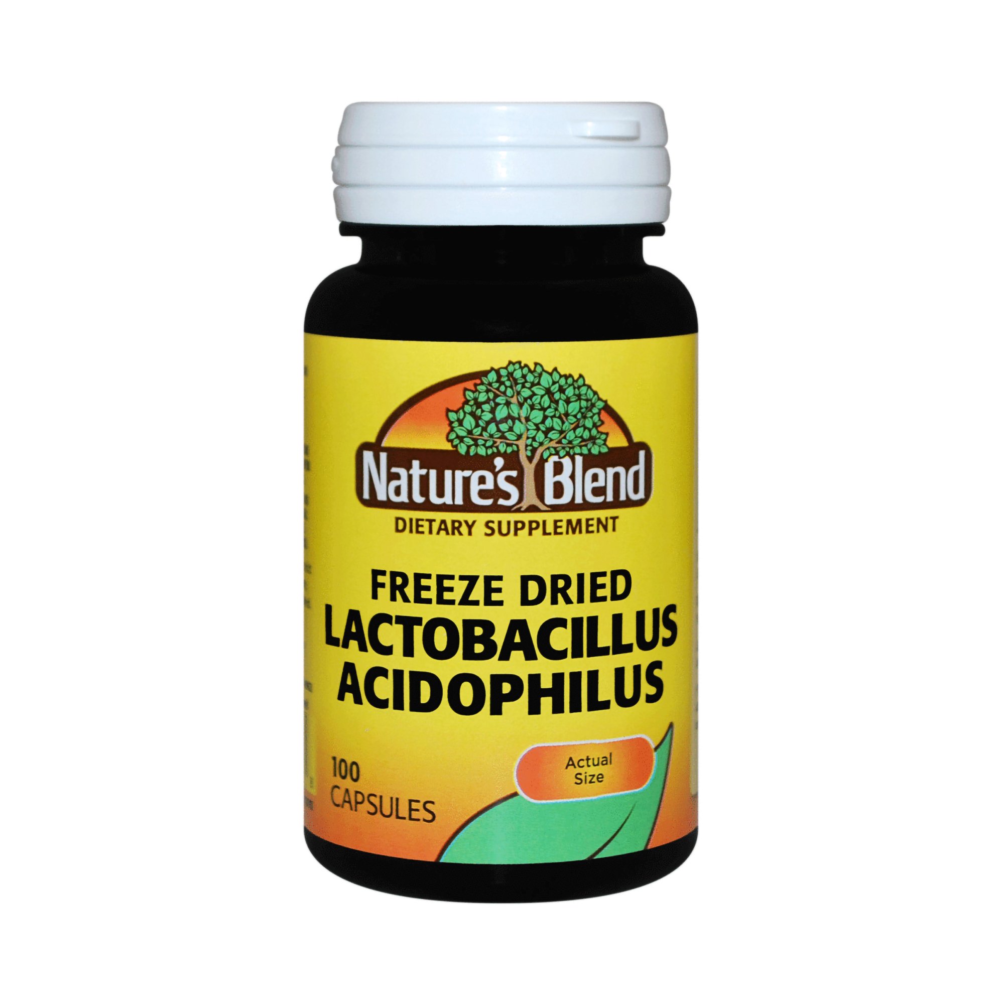 National Vitamin Company - 54629011101 Nature's Blend Lactobacillus Acidophilus Probiotic Dietary Supplement