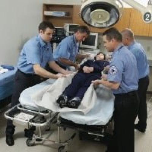 Graham Medical Products - 52037 Transfer Sheet MegaMover® 350i Gray 50 X 84 Inch Without Handles