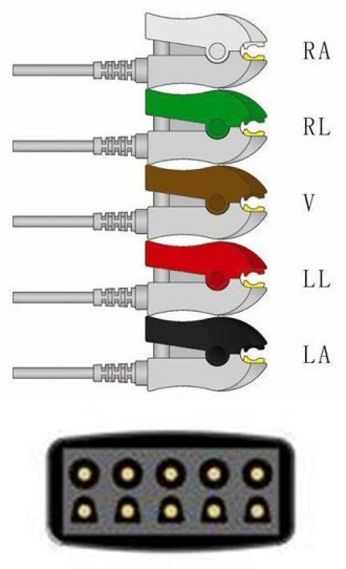 Sage Services Group - L02-05-29P ECG Lead Set Sage Services 5 Lead, Grabber, Shielded, 0.9m