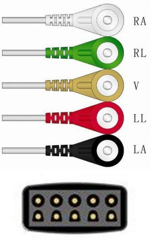 Sage Services Group - L02-05-29S ECG Lead Set Sage Services 5 Lead, Snap, Shielded, 0.9m