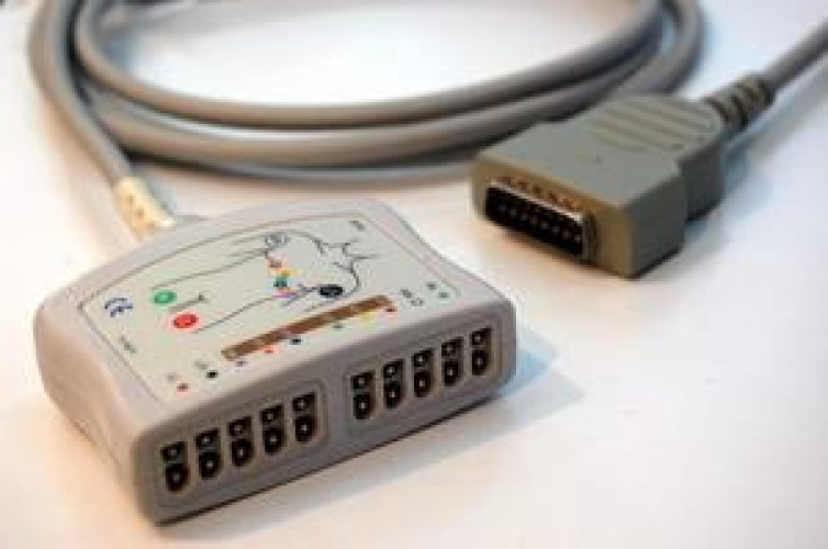 Sage Services Group - T02-10-25M ECG Cable Sage Services Reusable EKG Trunk Cable, 15-pin Connector Monitor Side, 10 Lead, 2.5m