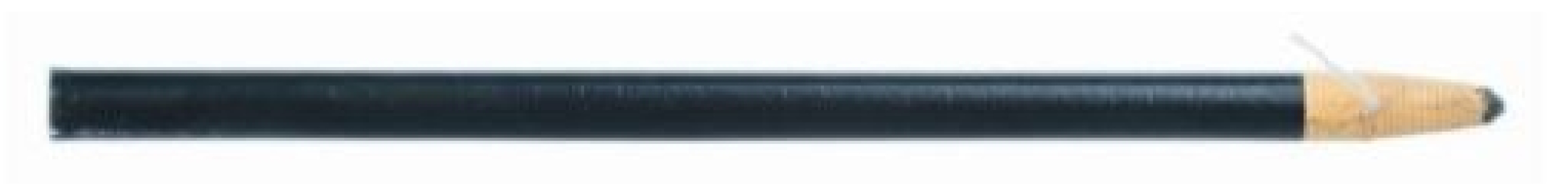 Fisher Anatomical - S04191 Pencil Fisher Science Education™ Black Ink