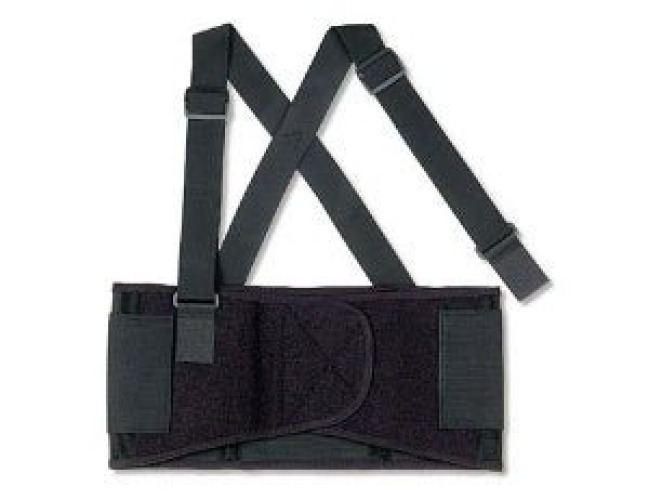 Ergodyne - 11096 ProFlex® 1650 Back Support