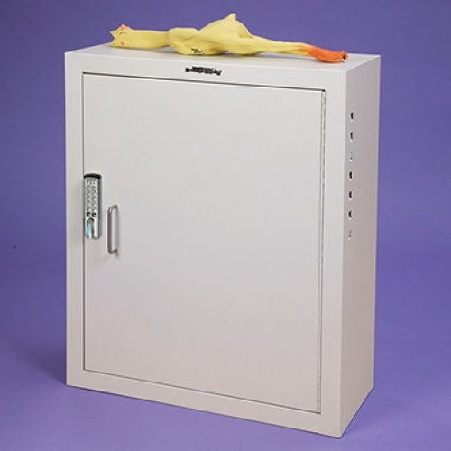 Health Care Logistics - 17846 Narcotic Cabinet Health Care Logistics Counter Top / Wall Mount Steel Without Drawers 3 Shelves Keyless Entry Digital Lock