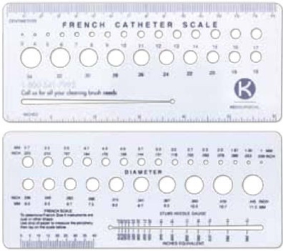 Steris - MJ370 French Catheter Scale 6 Inch Length Plastic NonSterile