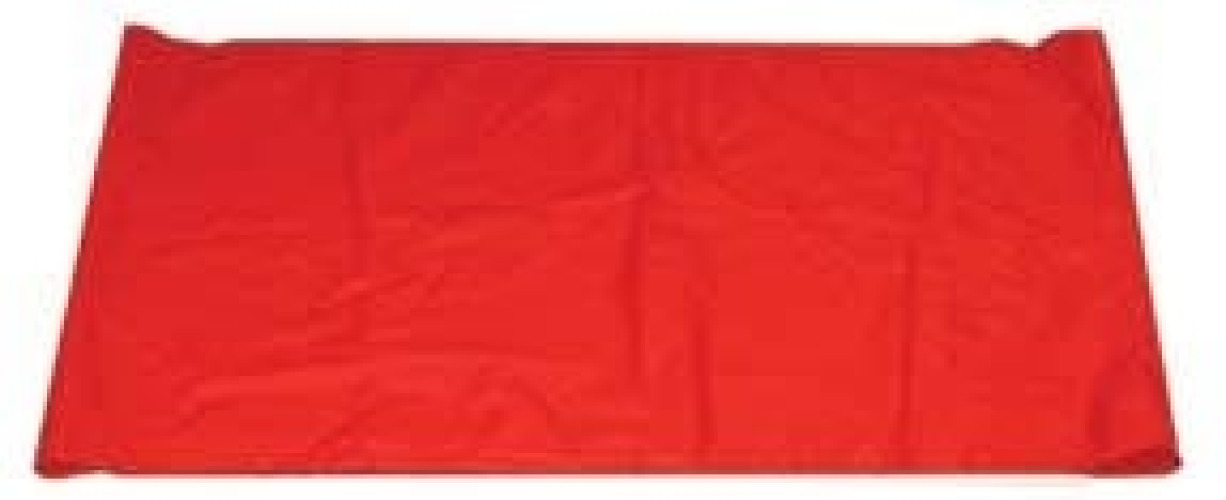 Joerns Healthcare - NA25526 Transfer Sheet Hoyer® Red 36 X 25 Inch
