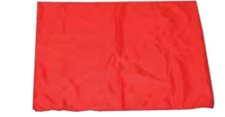 Joerns Healthcare - NA25525 Transfer Sheet Hoyer® Red 24 X 28 Inch Without Handles