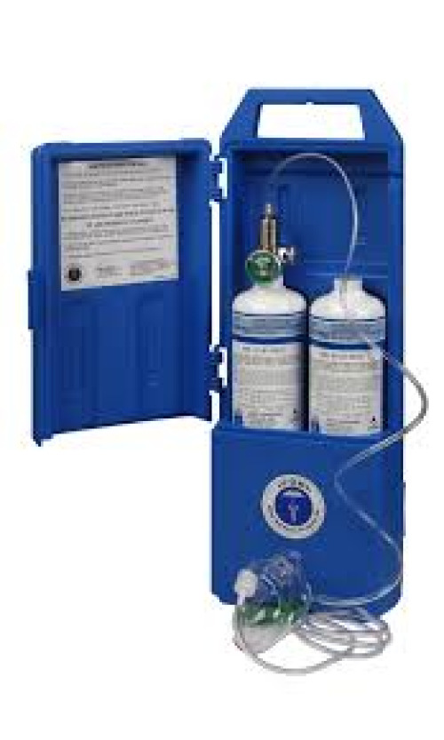 Allied Healthcare - 31-80-2058 Oxygen Carry Case Lif-O-Gen® Blue