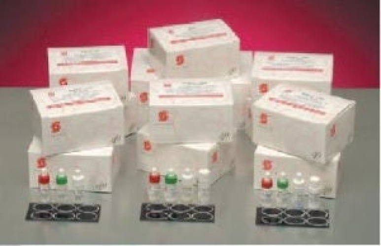 Stanbio Laboratory - 1130-100 Inflammatory Test Kit RaPET® CRP C-Reactive Protein (CRP) 100 Tests CLIA Non-Waived