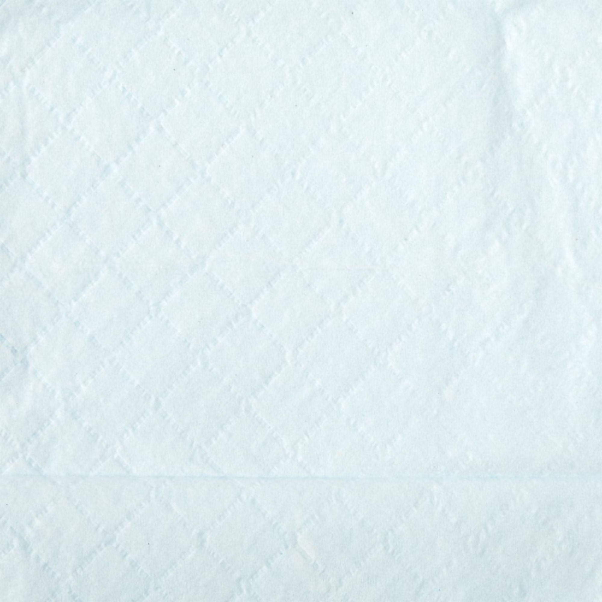 Medline - MSCB281245LB Disposable Underpad Protection Plus® 30 X 30 Inch Fluff Moderate Absorbency