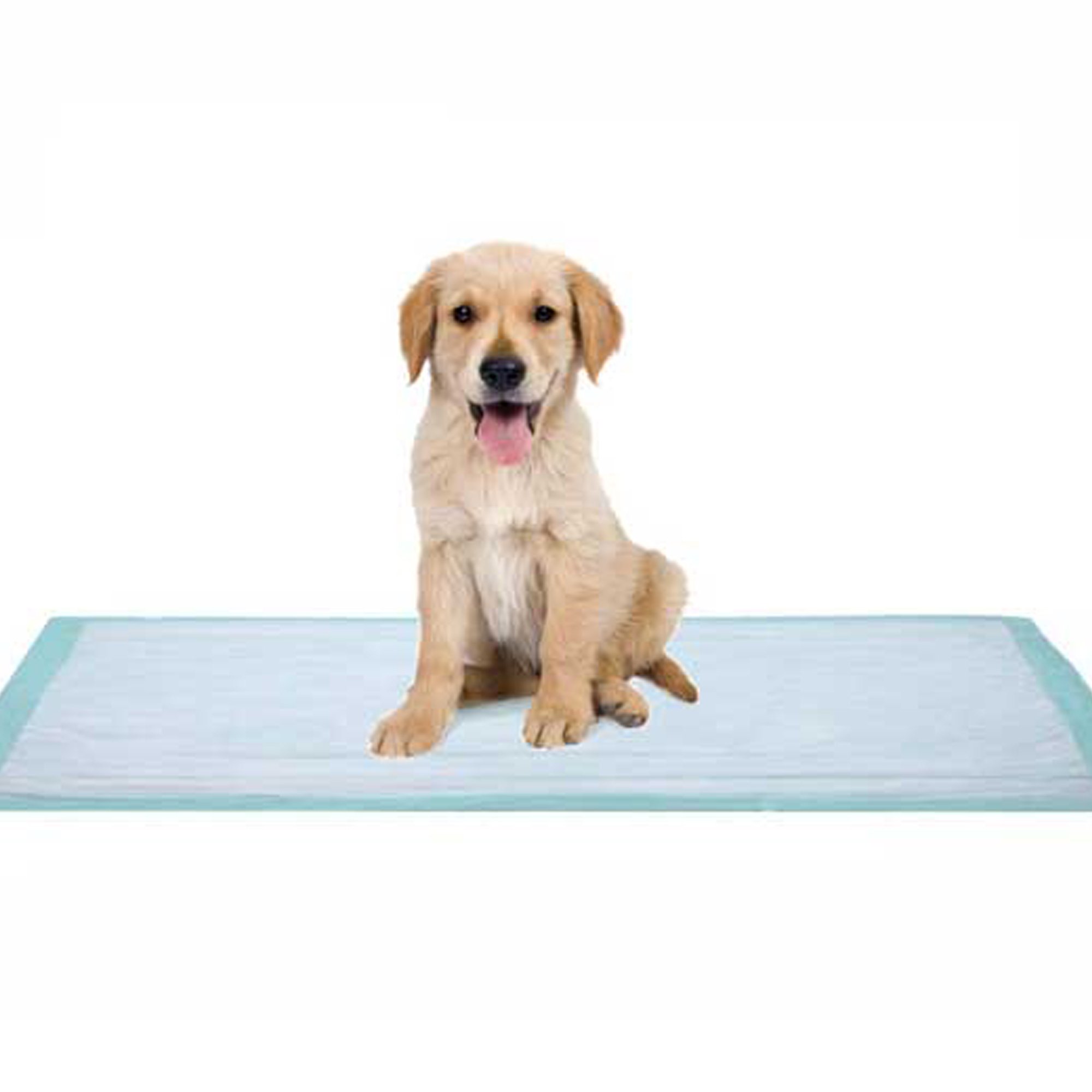 Dukal 11724 - Dukal Fluff Underpad, 17 x 24 Inch - 100/Box, 300/Case