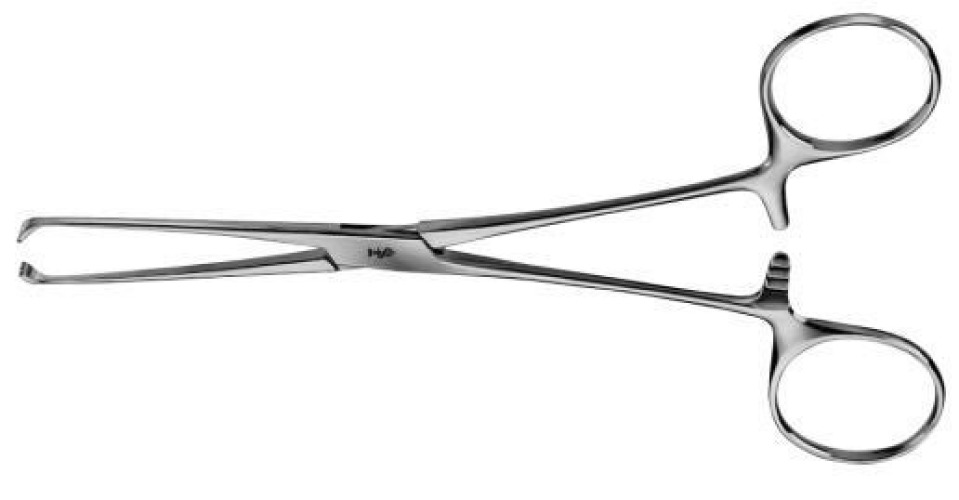 BR Surgical - FG64-11015 Tissue Forceps BR Surgical Allis 6 Inch Length Floor / Office Grade Pakistani Stainless Steel NonSterile Locking Finger Ring Handle Straight 4 X 5 Teeth