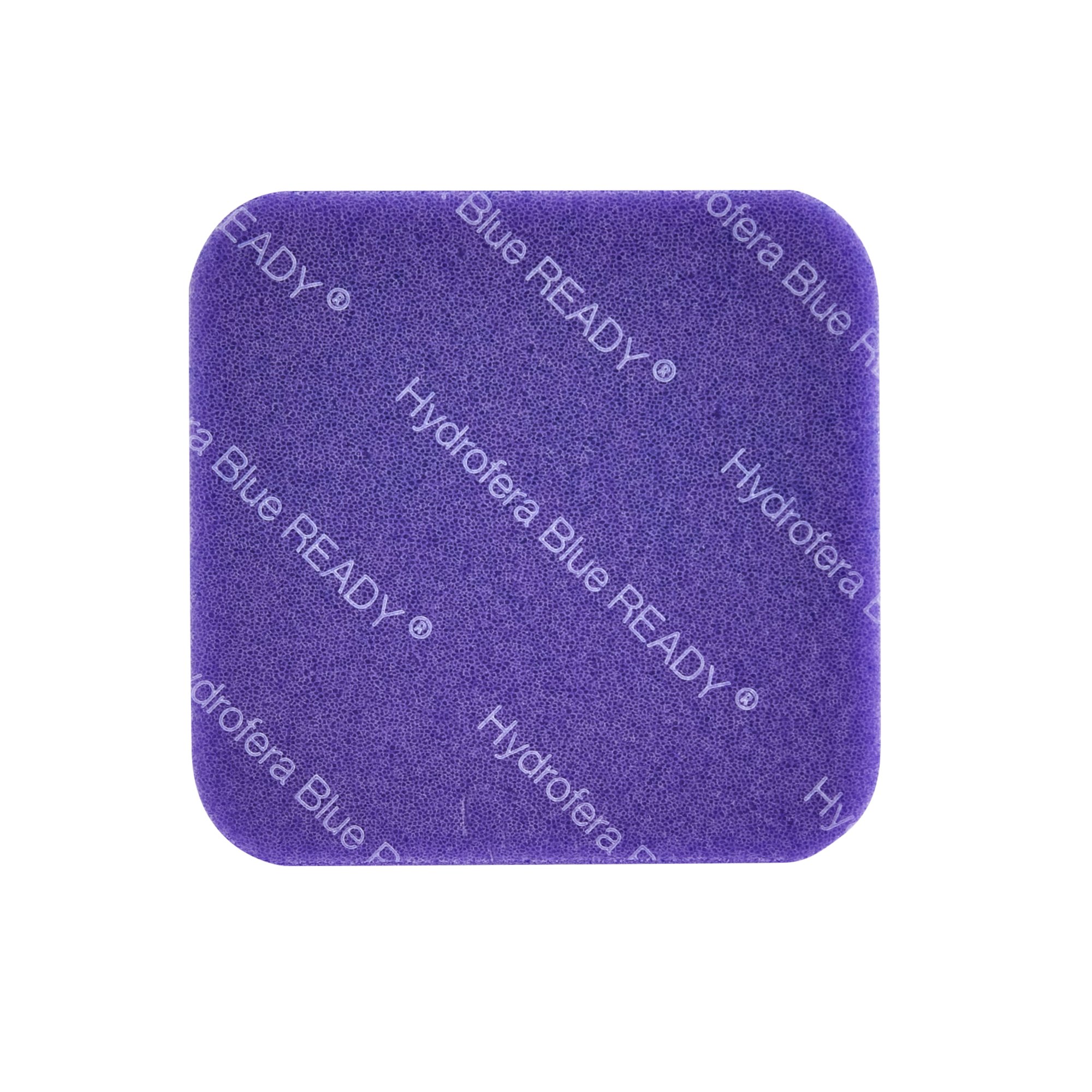 BSN Medical - HBRS2520 Hollister® Hydrofera Blue Ready™ Antibacterial Foam Dressing