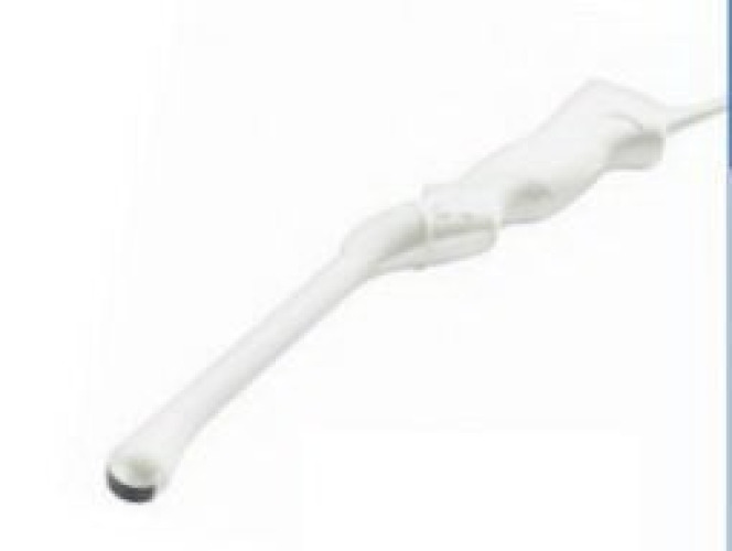 GE Healthcare - H40402LN Ultrasound Probe Vivid™ T8 E8C-RS, 4 to 11 MHz Scanner Frequency Range, 128° Field of View, 14 cm Depth of Field, 23 X 23 mm Footprint, Fetal Echo, Follicle, GYN, OB, Prostate, Transvaginal, Transrectal