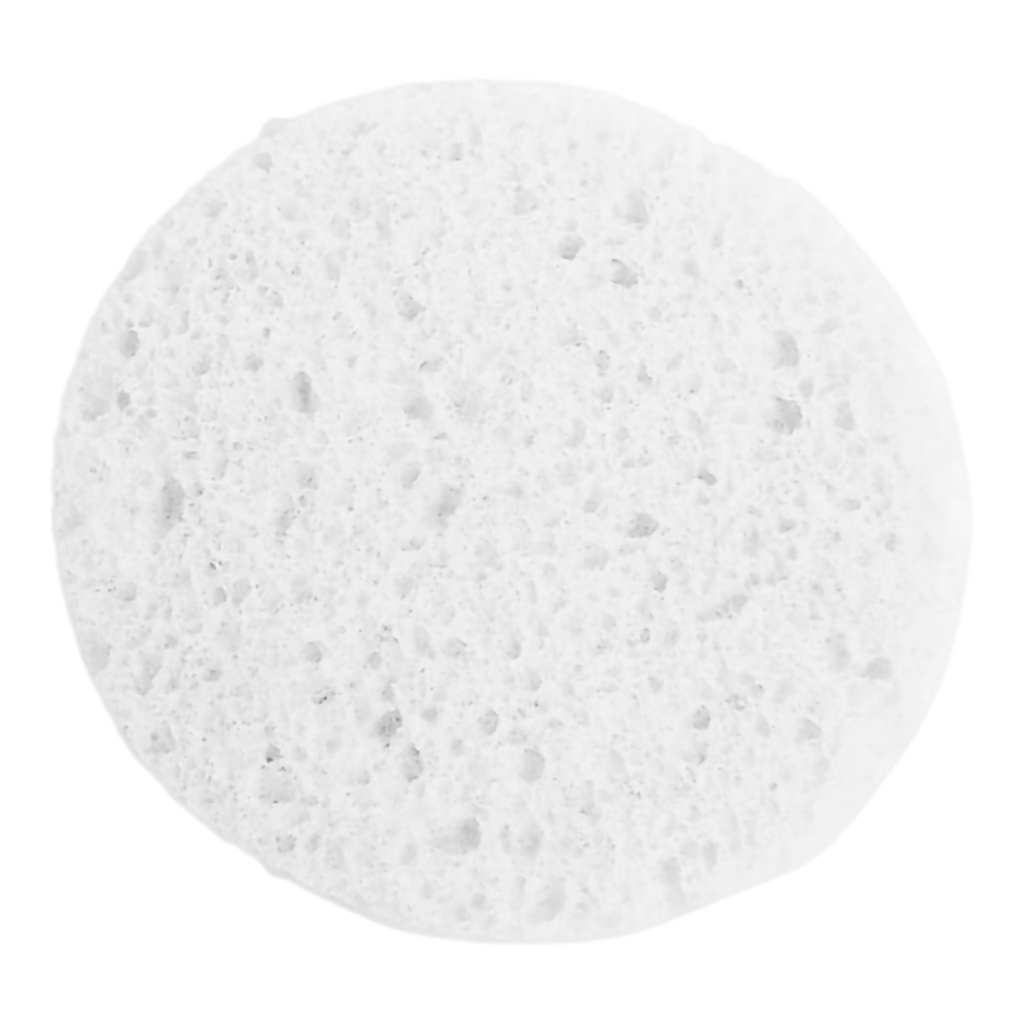 Universal Companies - CX063T Prosana Facial Sponge