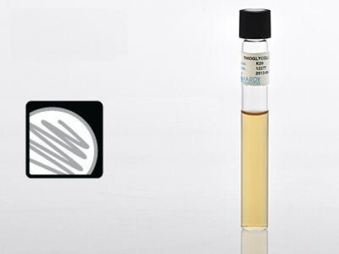 Hardy Diagnostics - K29 Prepared Media Thioglycollate Medium Beige Tube Format