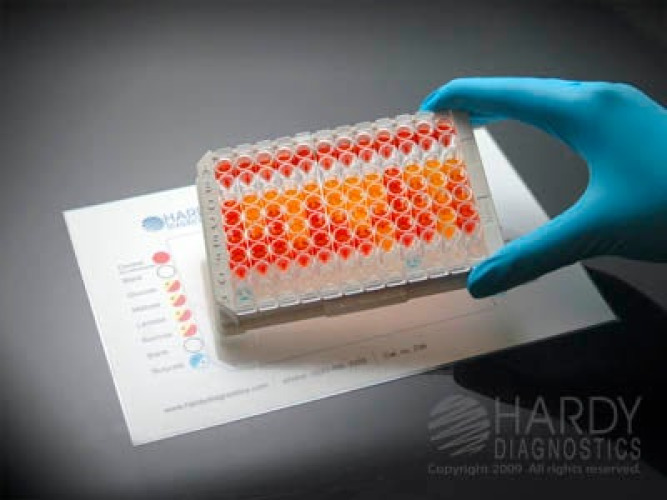 Hardy Diagnostics - Z98 Microorganism Test Kit CarboFerm™ Neisseria / Moraxella Catarrhalis 24 Tests CLIA Non-Waived