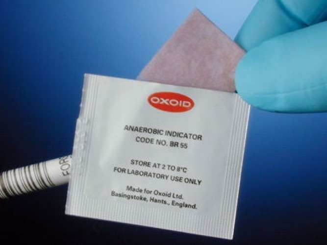 Hardy Diagnostics - BR55 Oxoid™ Anaerobic Indicator