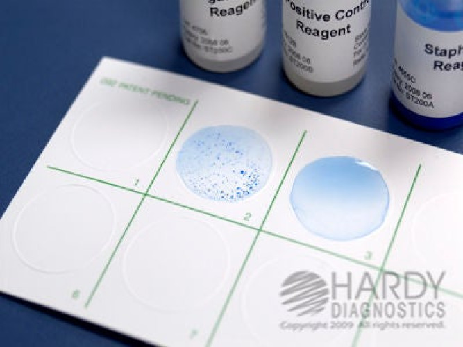 Hardy Diagnostics - ST1000 Other Infectious Disease Test Kit StaphTEX™ Blue Staphylococcus Aureus 1,000 Tests CLIA Non-Waived