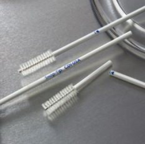 Cancer Diagnostics - SPH000 Snap-Tip Cervical Cell Collection Device
