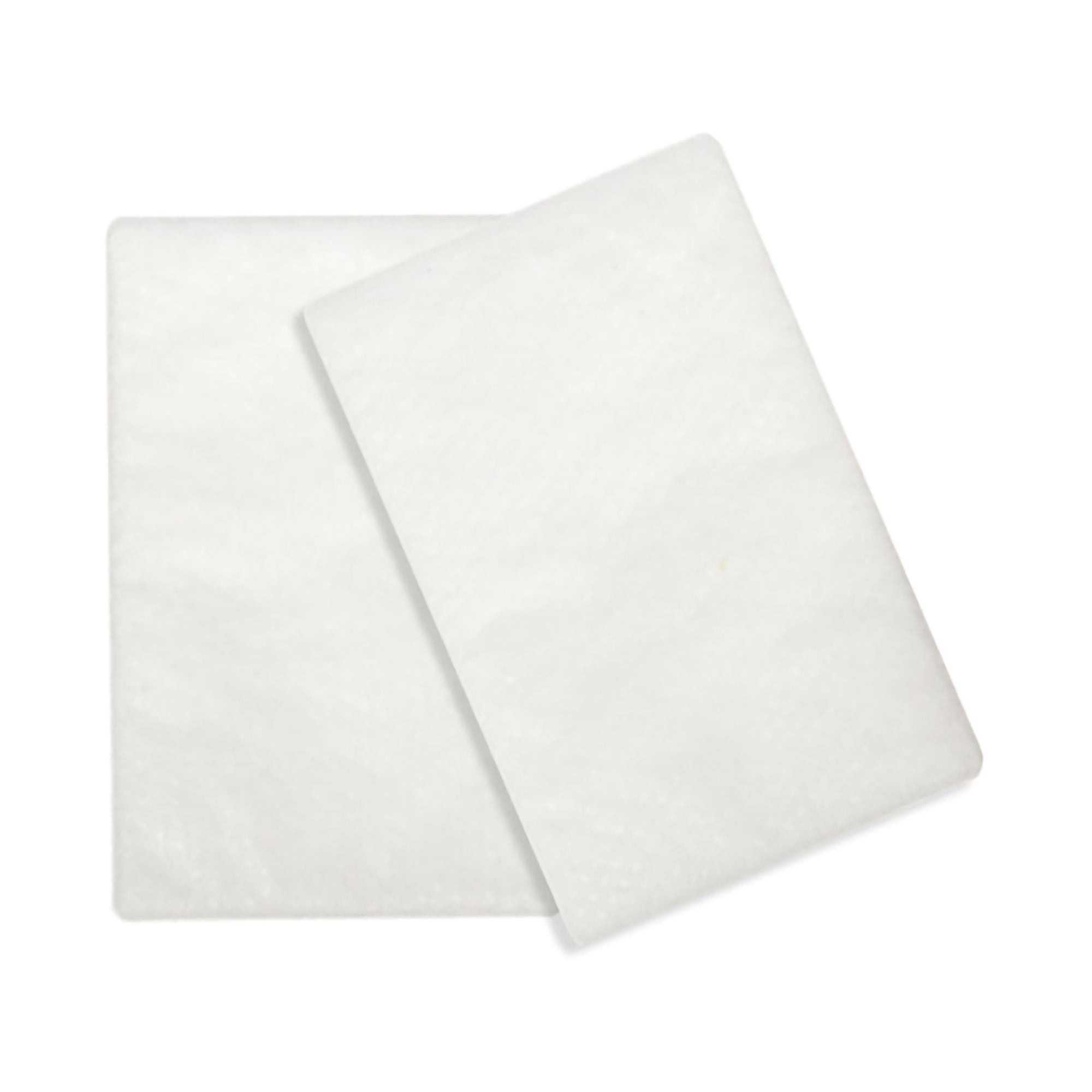 ResMed Corp - 36850 CPAP Filter Standard Disposable 1 per Pack White No Tab
