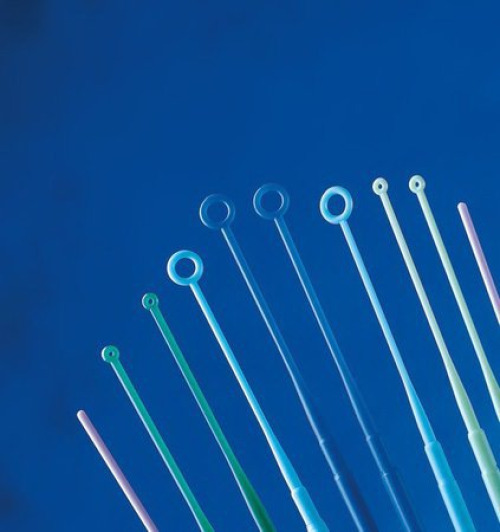 Inoculating Loop CST-H1 by Copan Diagnostics