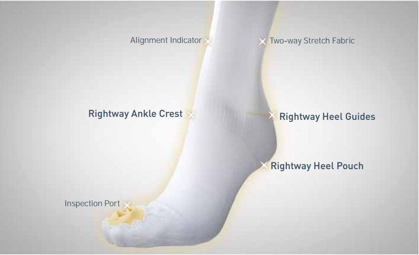 The Pillow Factory Division - 558-04 Anti-embolism Stocking LifeSPAN® Knee High X-Large / Long White Inspection Toe
