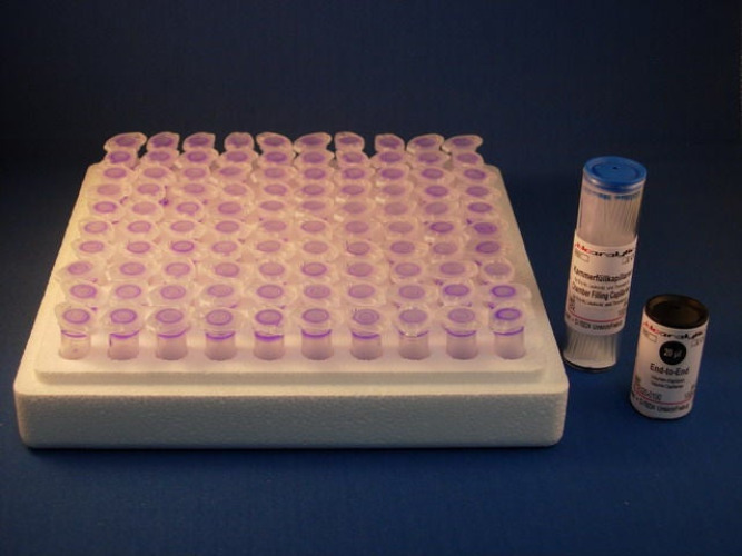 Fisher Anatomical - 23230230 Hematology Test Kit Leuko-TIC® Blue Plus White Blood Cells / Leukocytes 100 Tests Non-Regulated