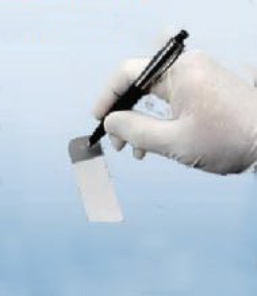 Fisher Scientific - NC9587040 Lab Scientific Marking Pen