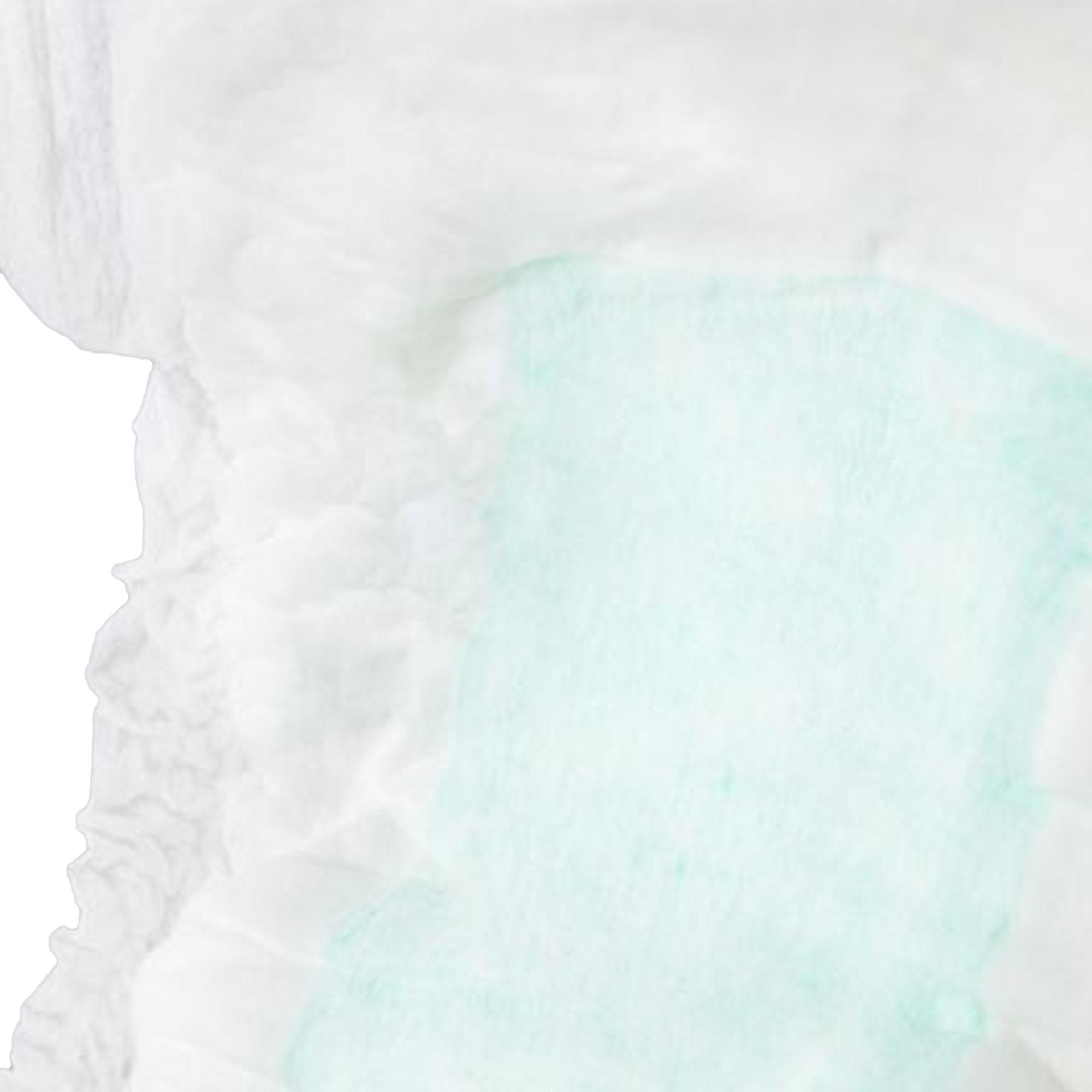 Secure Personal Care Products - SP1573 TotalDry Maximum Pads