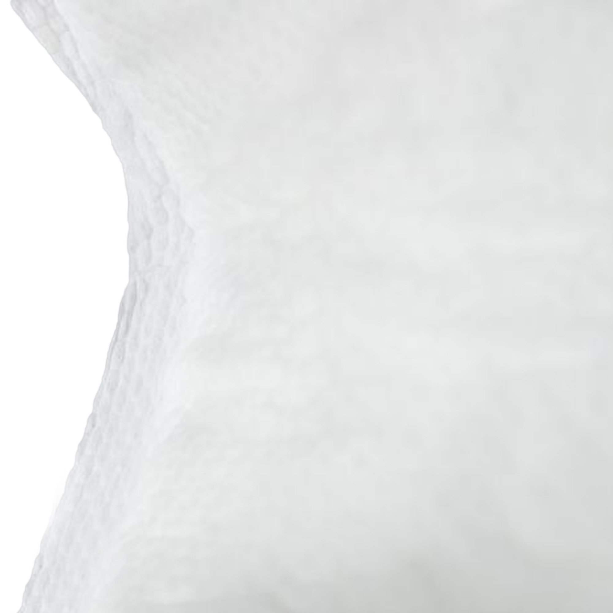 Secure Personal Care Products - SP1579 TotalDry™ Maximum Absorbency Incontinence Booster Pad