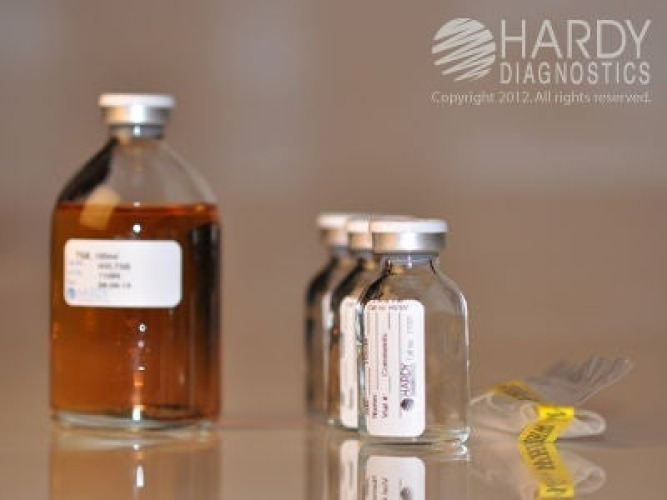Hardy Diagnostics - HVL1 Microorganism Test Kit HardyVal™CSP Low-Risk Level Low Complexity Media Test 1 Test Non-Regulated
