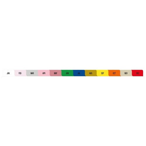 First Healthcare Products - M2570 Divider Set Jan, Feb, Mar, Apr, May, Jun, Jul, Aug, Sep, Oct, Nov, Dec