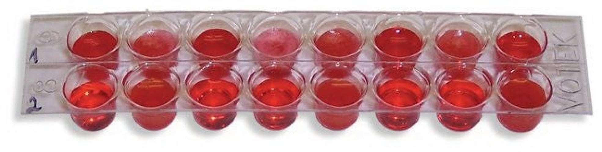 Fisher Anatomical - S94672 Edvotek™ Blood Based Cancer Diagnostics