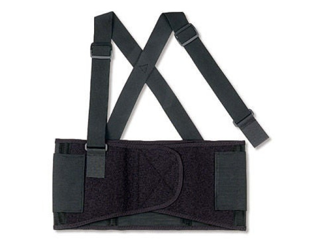 Ergodyne - 11093 ProFlex® 1650 Back Support