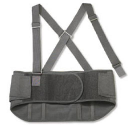 Ergodyne - 11104 ProFlex® Standard Back Support