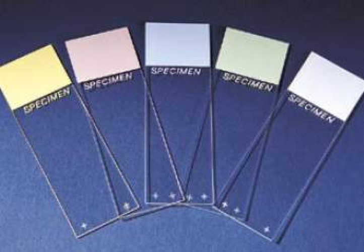 Erie Scientific - 4951PLUS-001 Superfrost™ Plus Microscope Slide