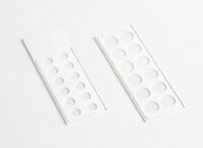 Fisher Anatomical 9991090 - Shandon™ Multi-Spot Microscope Slide - 100/Case