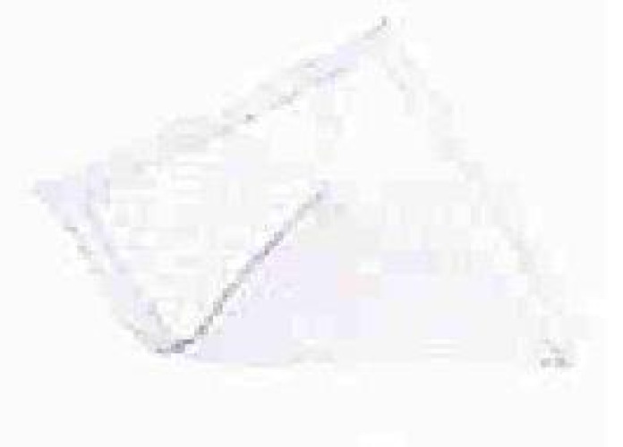 Griffin Care 6010B - Buddies® Underpad, 30 x 36 Inch - 10/Bag, 40/Case