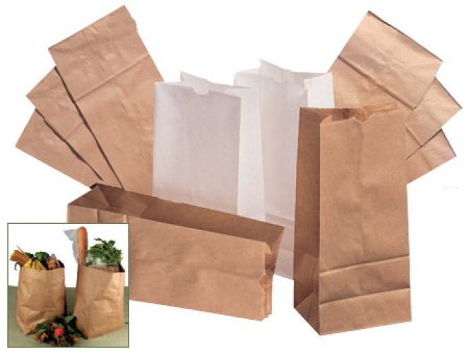 Essendant Co-United Stationers BAGGW2500 - White Paper Bag, 4.31 x 2.44 x 7.88 Inch - 500/Pack
