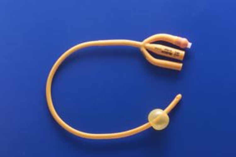 Teleflex LLC - 183405240 Rusch Gold® Foley Catheter