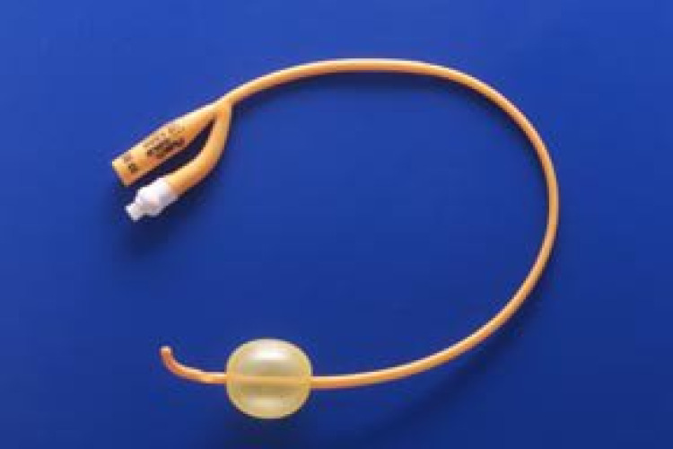Teleflex LLC 318320 - Teleflex Medical Rüsch® Puregold™ Foley Catheter, 20 Fr. - 1/Each, 10/Box
