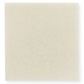 Hollister - 529969R Calcicare Calcium Alginate Dressing with Silver