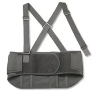 Ergodyne - 11104 ProFlex® Standard Back Support